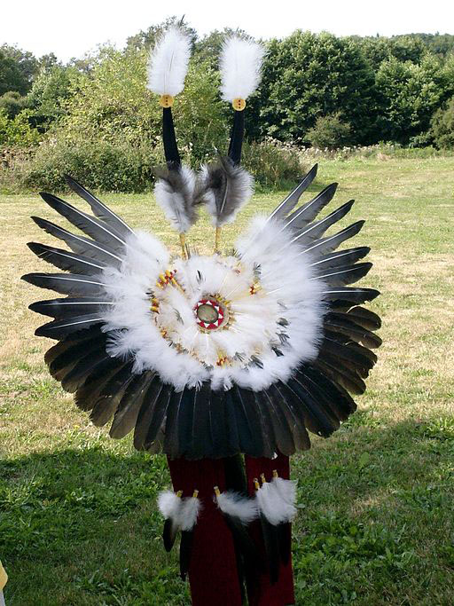 Native American Feathers Regalia